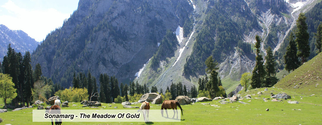 Dachigam National Park - Jammu and Kashmir